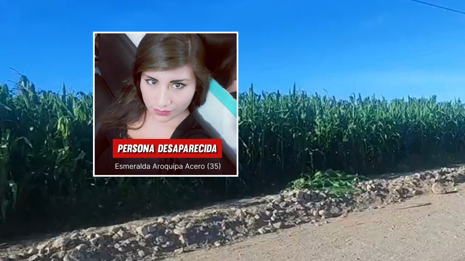 Arequipa: hallan sin vida a mujer que fue reportada desaparecida hace 6 días, víctima estaba en un maizal en Majes