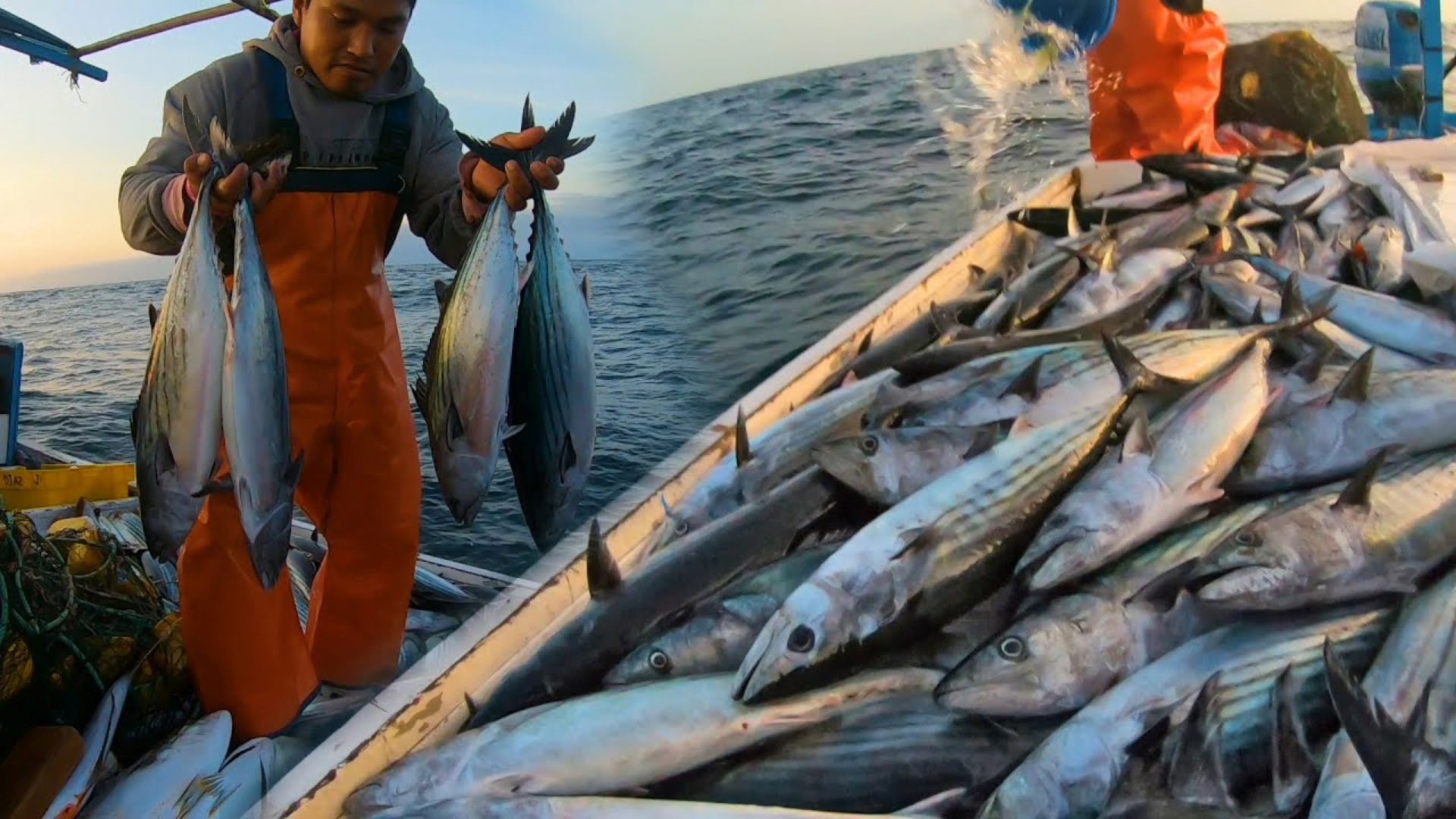 PRODUCE modifica el límite de captura de bonito hasta 91,000 toneladas del mar peruano para el presente año.