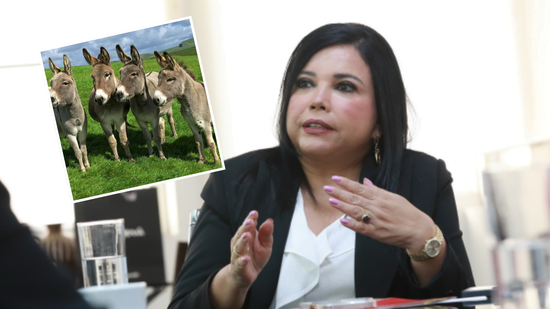 Perú exportará carne de burro y otros Vegetales a China tras firma de protocolos sanitarios, anunció la titular del Mincetur