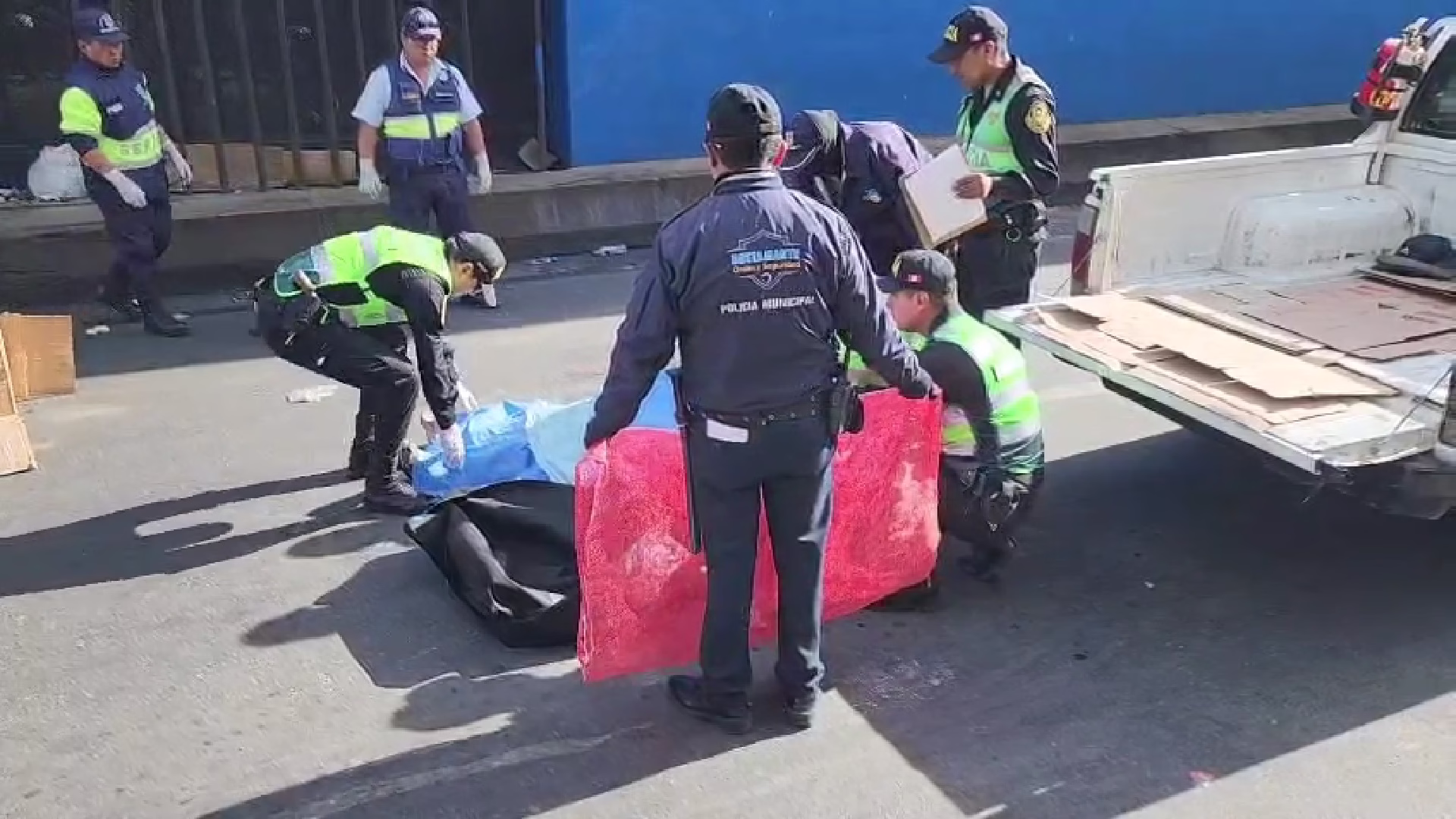 Arequipa: mujer que rescataba animales muere atropellada por custer cuando intentaba alimentar a unos gatitos 2 Arequipa: mujer que rescataba animales muere atropellada por custer cuando intentaba alimentar a unos gatitos