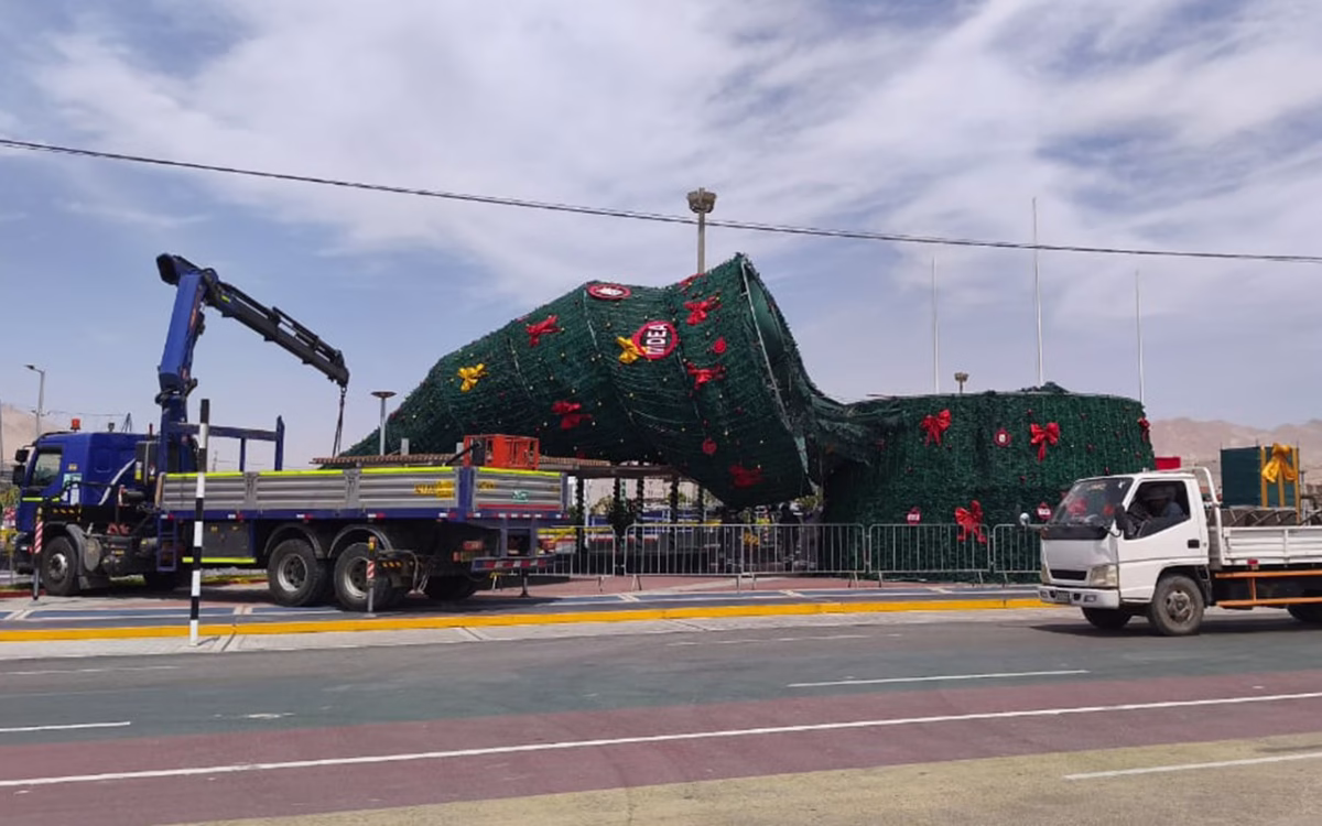 Ilo: fuertes vientos derriban árbol navideño más alto de Moquegua 2026