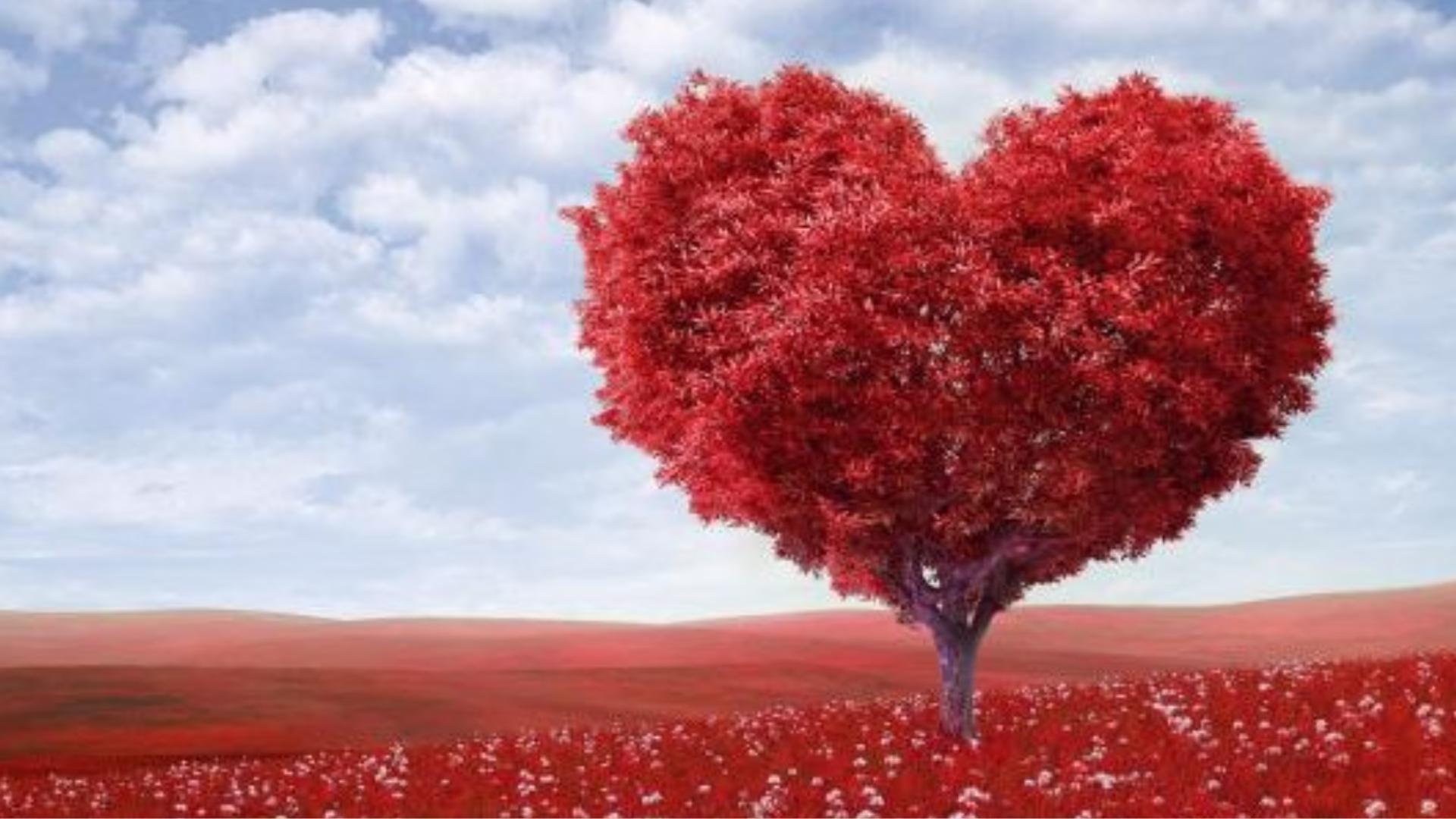 ALMA MATINAL... El virus del amor, artículo de opinión de Carlos Rivera.