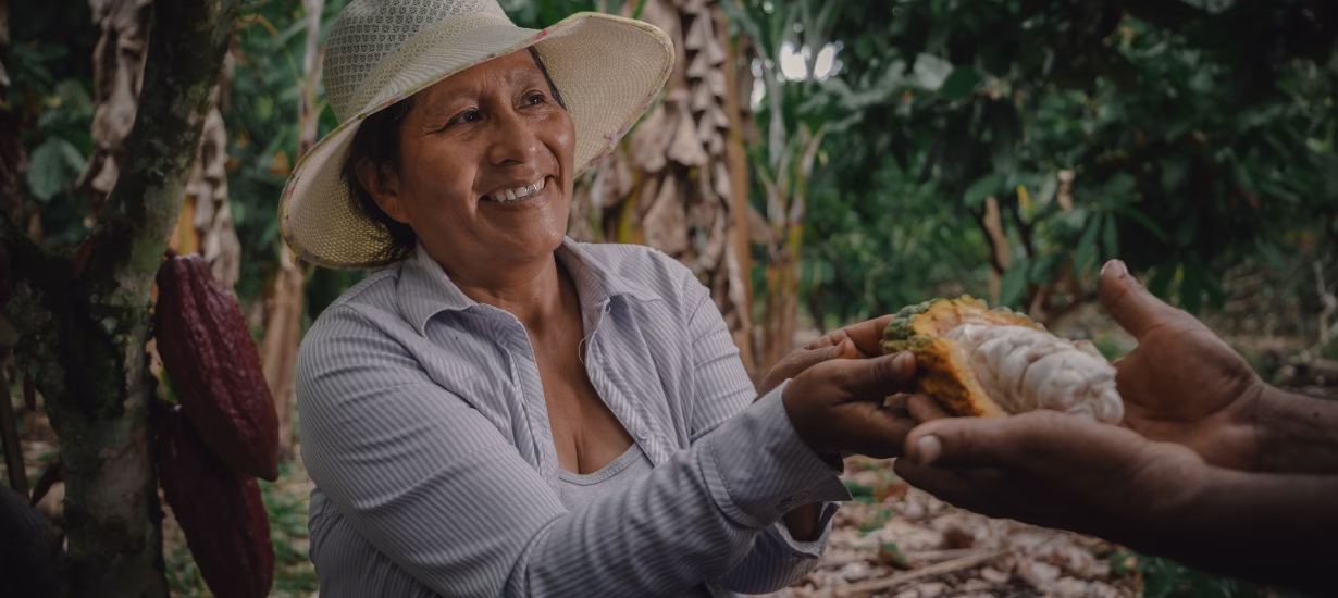 Chocolate peruano conquista mercados internacionales: EE. UU. y Canadá son los principales compradores 1 Chocolate peruano conquista mercados internacionales: EE. UU. y Canadá son los principales compradores 2026