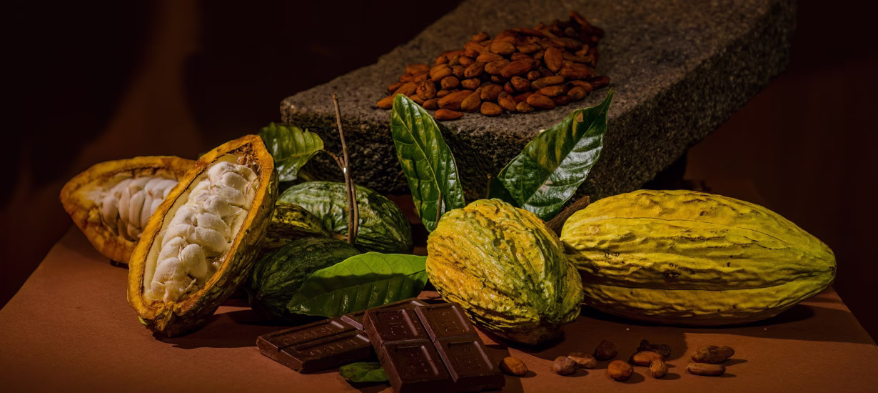 Chocolate peruano conquista mercados internacionales: EE. UU. y Canadá son los principales compradores 3 Chocolate peruano conquista mercados internacionales: EE. UU. y Canadá son los principales compradores 2026