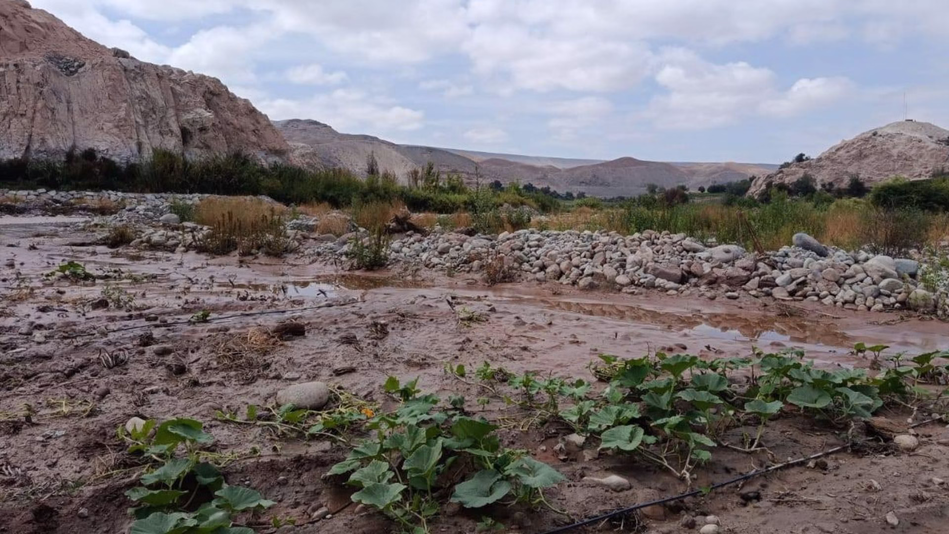 Arequipa: Colapso de puentes deja aisladas a 750 familias en Santa Isabel de Siguas tras intensas lluvias