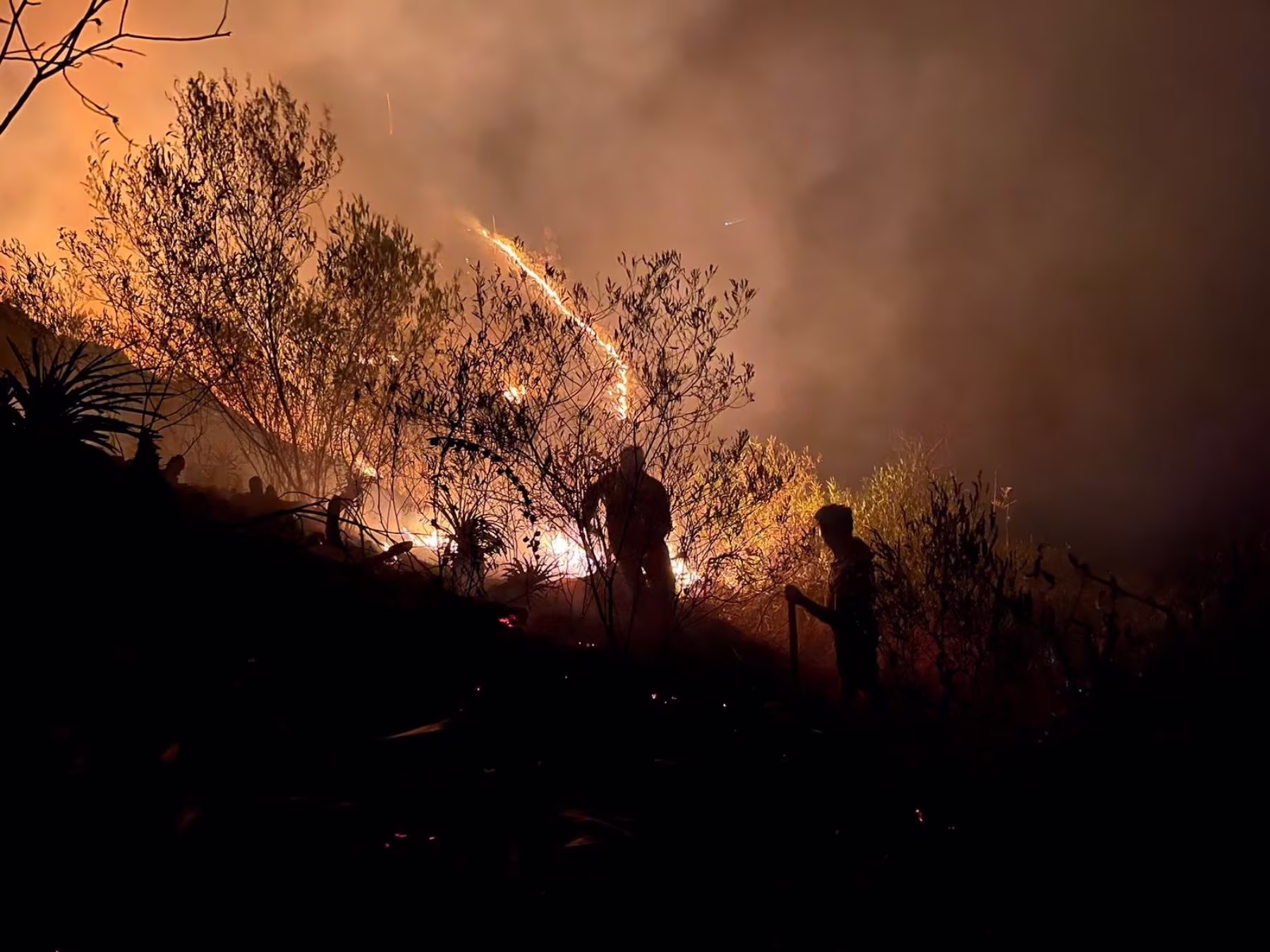 Piura: 2 niños mueren atrapados en incendio que consumió tres viviendas 2026
