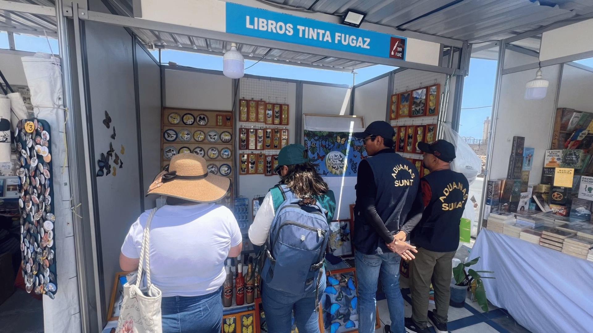 Tráfico de fauna en Arequipa: decomisan más de 600 mariposas en feria de Mollendo en Islay 1 Tráfico de fauna en Arequipa: decomisan más de 600 mariposas en feria de Mollendo en Islay 2026