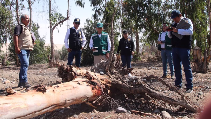 Tacna: Comisión Ambiental Regional alerta emergencia en el Bosque Municipal y pide transparencia en IOAR 2026
