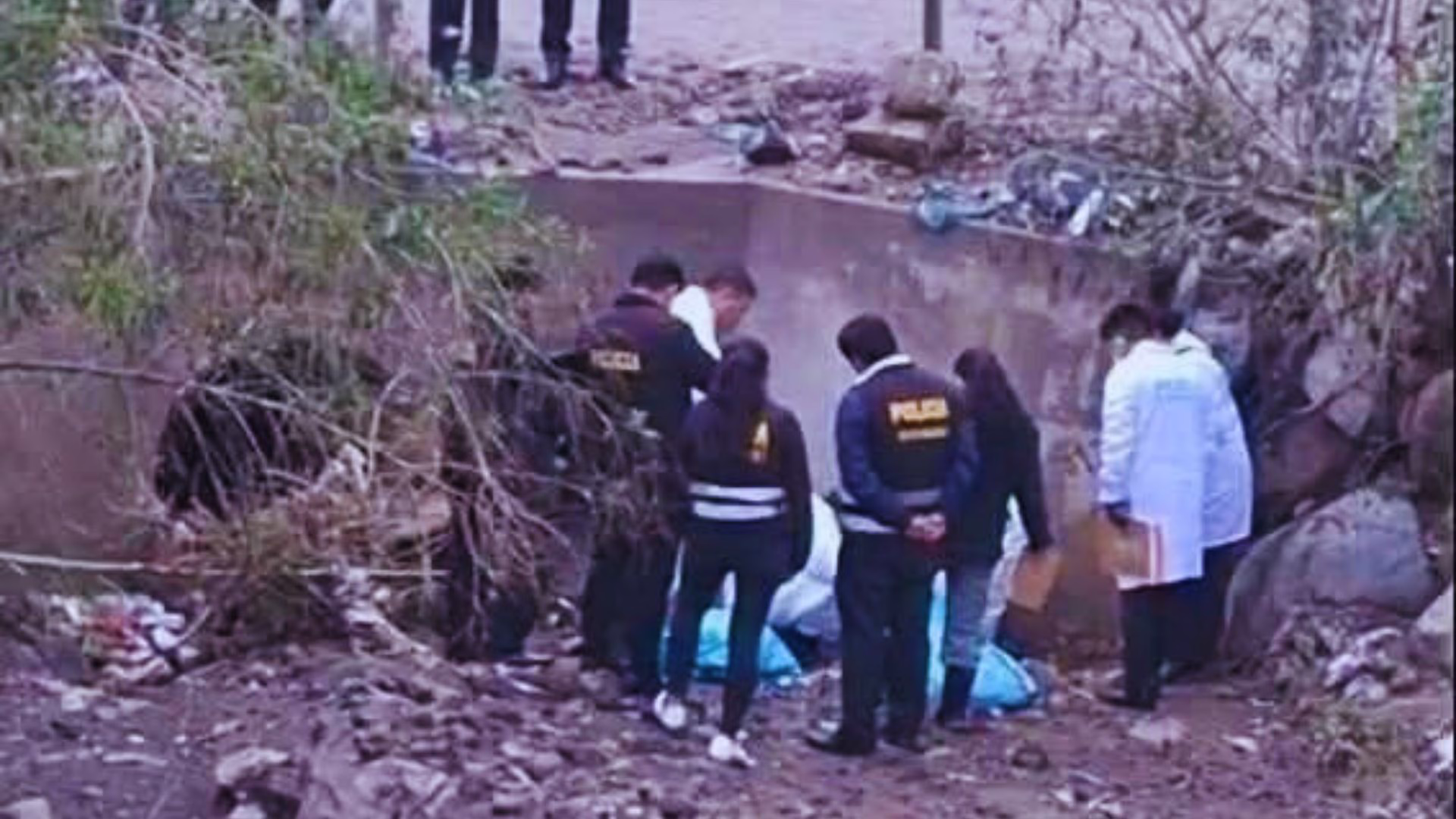 Descuartizado en Chiguata: investigan homicidio de adulto mayor que estaba reportado como desaparecido en 2023