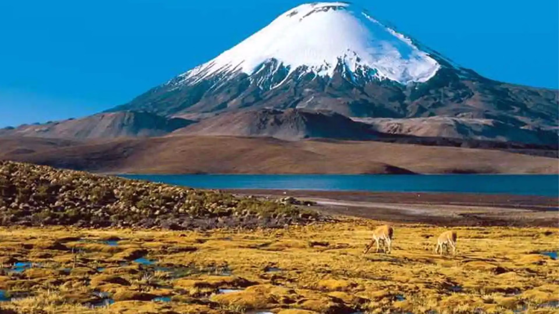 Verinia Llallacachi Espinel alcanzó la cumbre del Ojos del Salado, considerado el volcán más alto del planeta