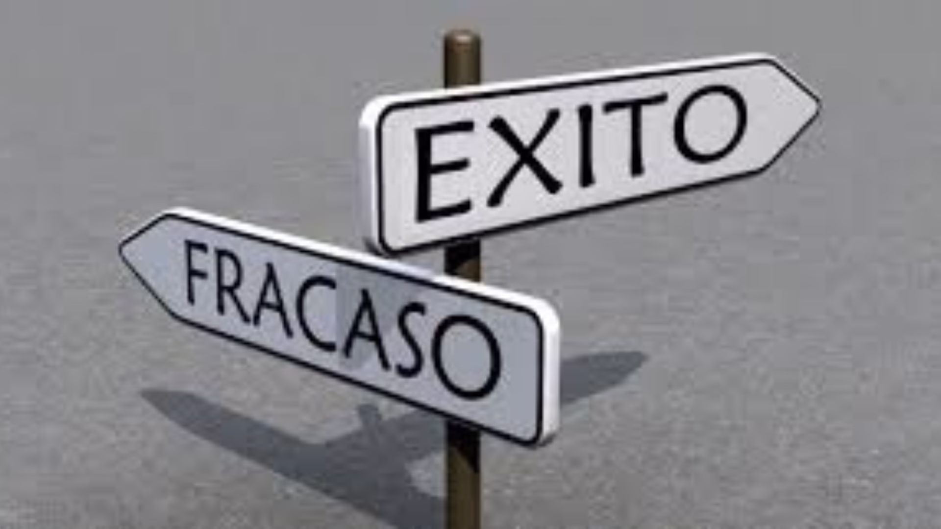 CREO QUE | Los exitosos vs los fracasados, artículo de opinión de Wilfredo Mendoza.