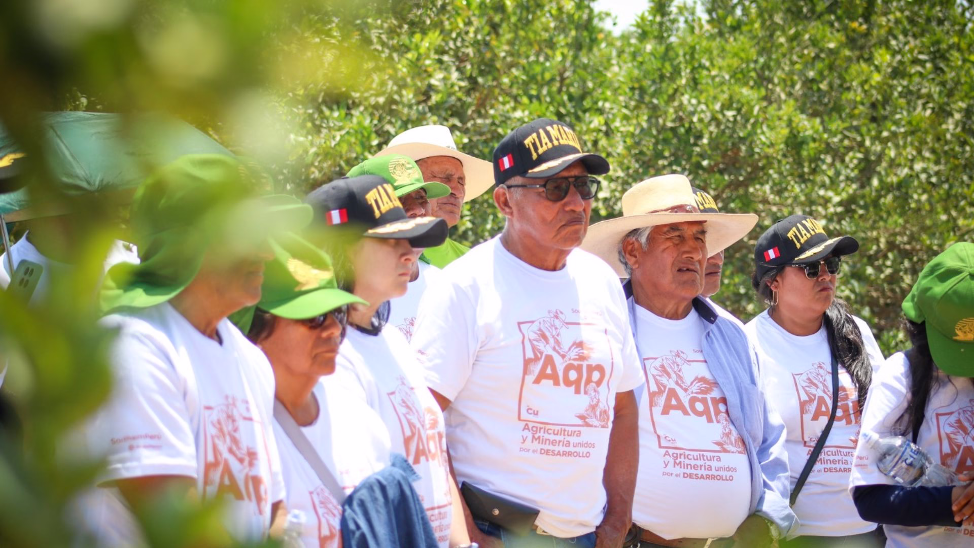 Agricultores del valle de Tambo fortalecen su visión exportadora con pasantías técnicas en Ica