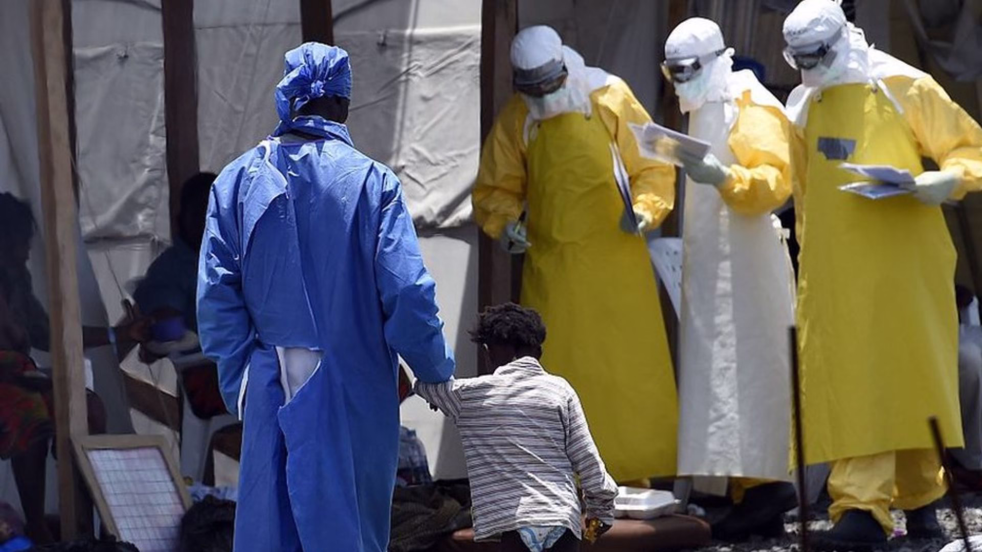 Brote de ébola en África obliga a la OMS a declarar emergencia internacional por expansión del virus 1 Brote de ébola en África obliga a la OMS a declarar emergencia internacional por expansión del virus
