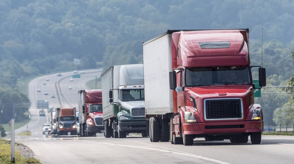 Gobierno dispone apoyo económico para el transporte de pasajeros y carga frente al alza de combustibles 1 Gobierno dispone apoyo económico para el transporte de pasajeros y carga frente al alza de combustibles 2026