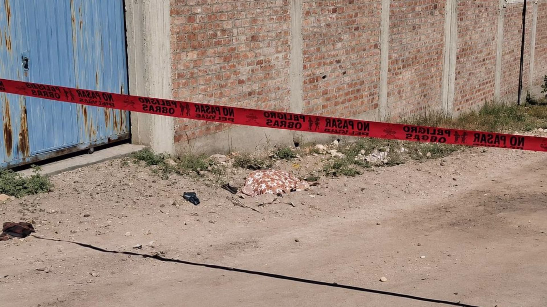 Adulta mayor pierde la vida tras brutal ataque de jauría de perros en Cerro Colorado, regresaba a su casa