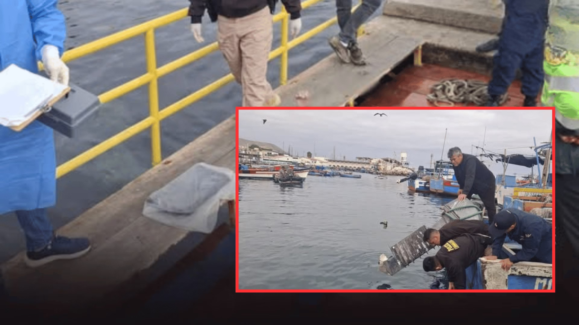 Ilo: encuentran cuerpo sin vida flotando en el mar frente al desembarcadero del puerto.