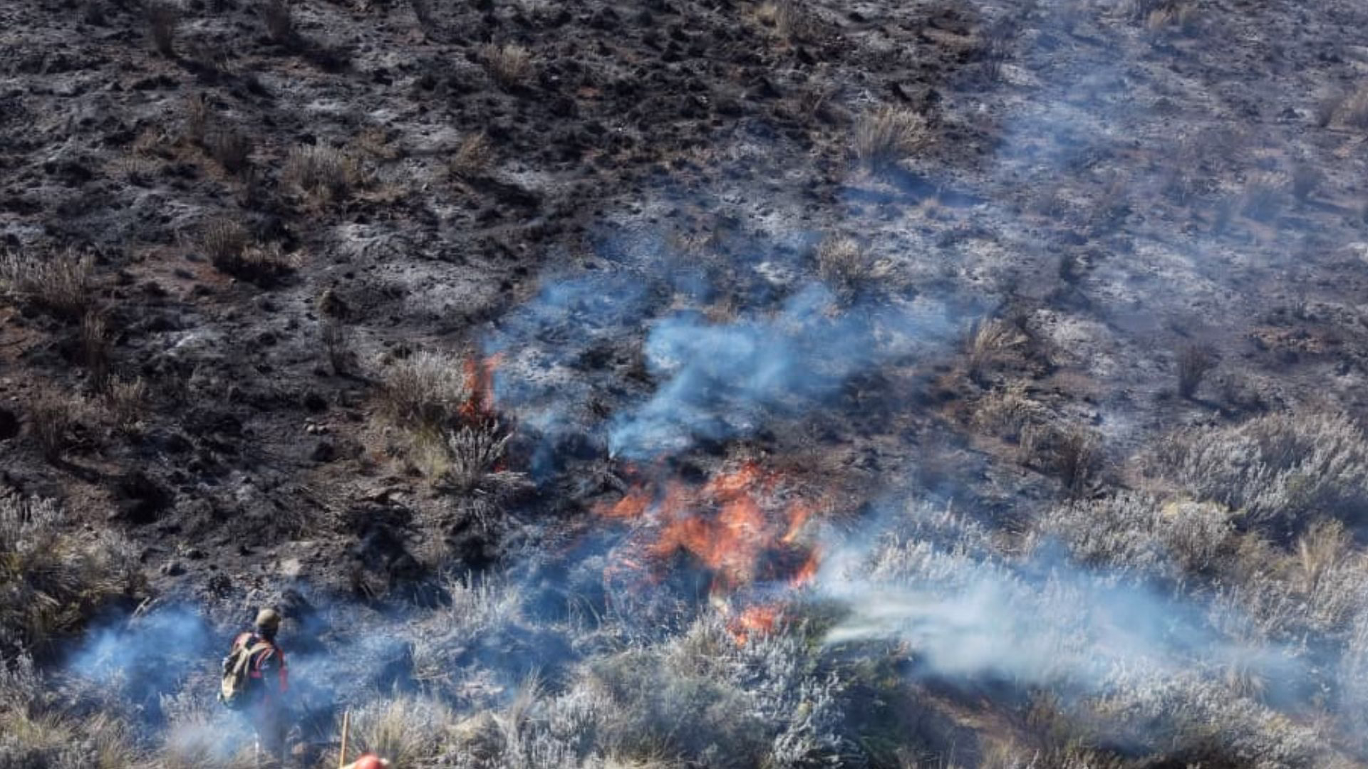 Arequipa: incendio forestal arrasó cerca de mil hectáreas en la Reserva Nacional de Salinas y Aguada Blanca