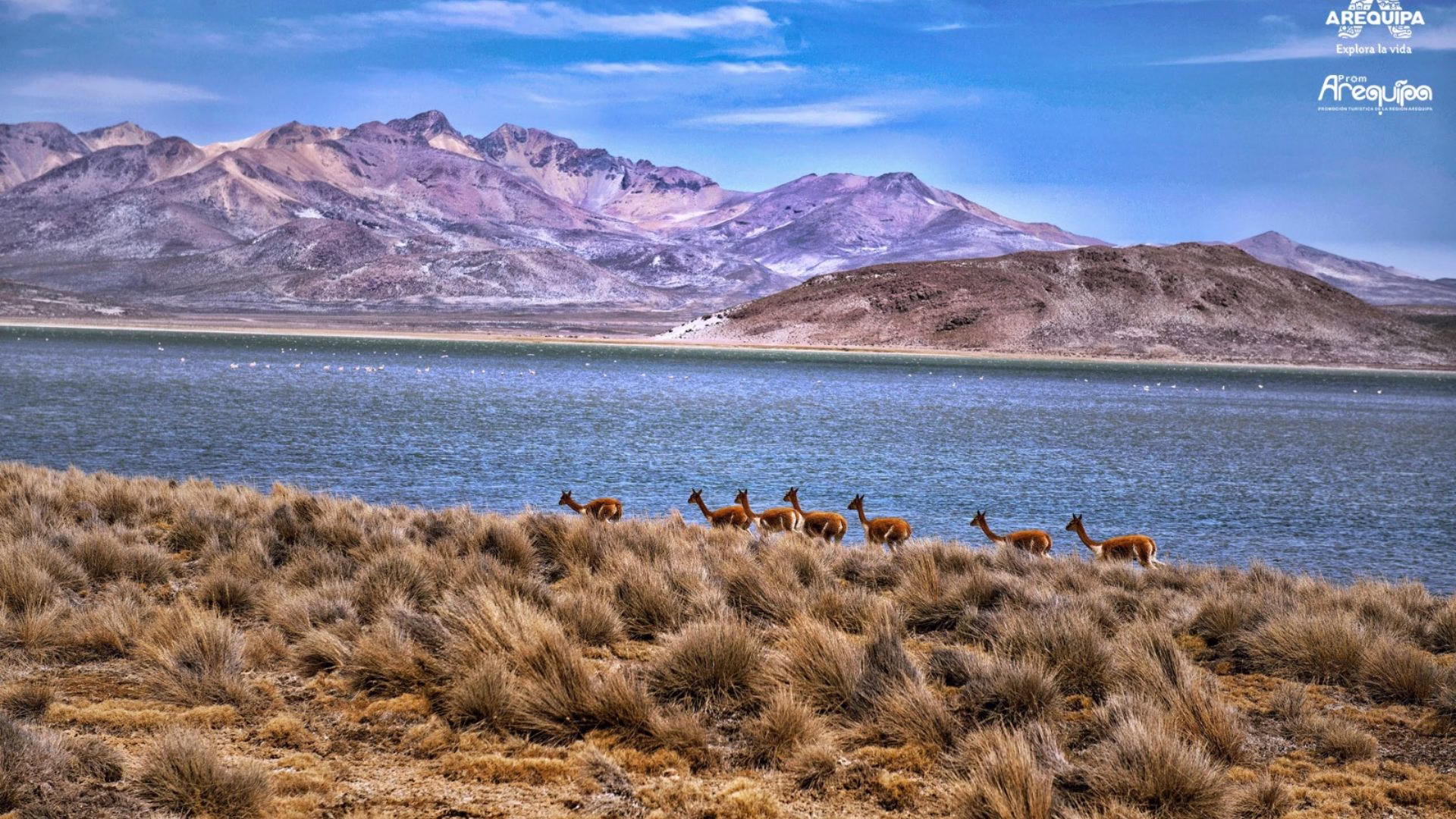 Banco Mundial aprueba financiamiento de US$ 77,2 millones para impulsar el corredor turístico Arequipa–Colca