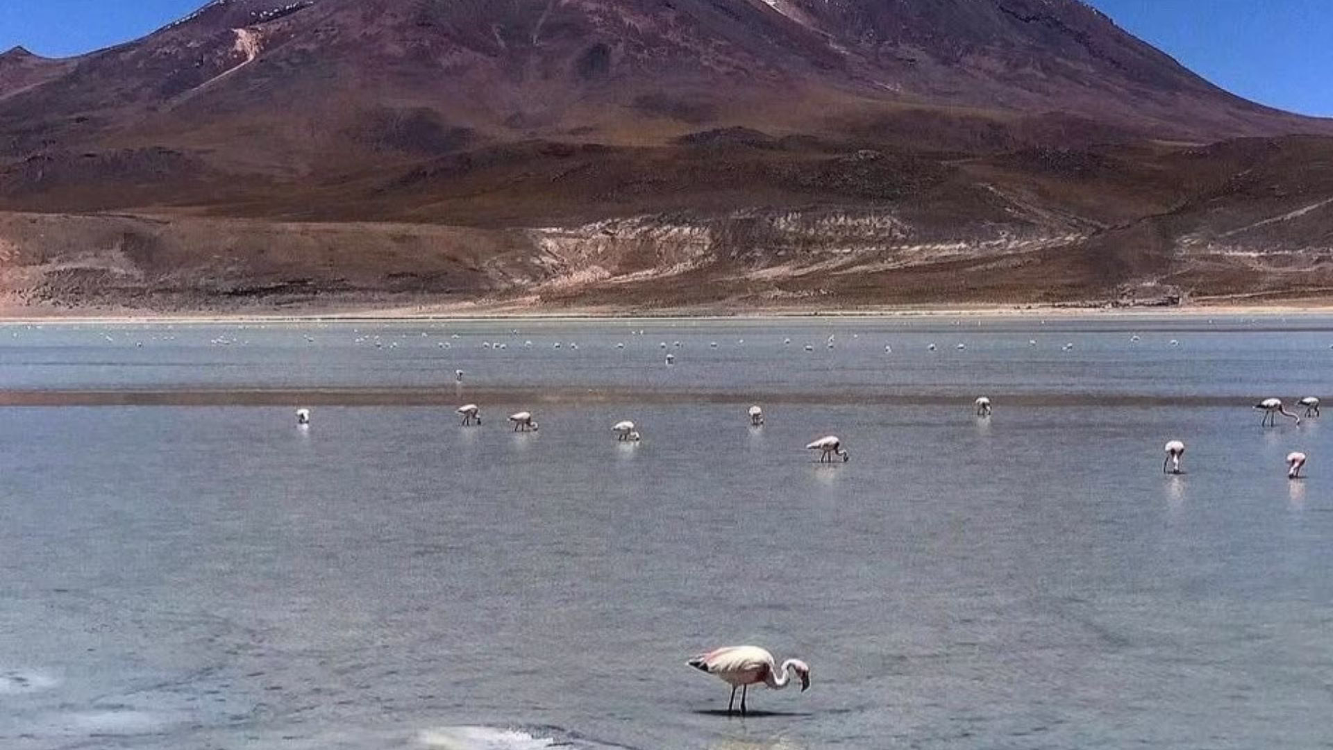 Banco Mundial aprueba financiamiento de US$ 77,2 millones para impulsar el corredor turístico Arequipa–Colca