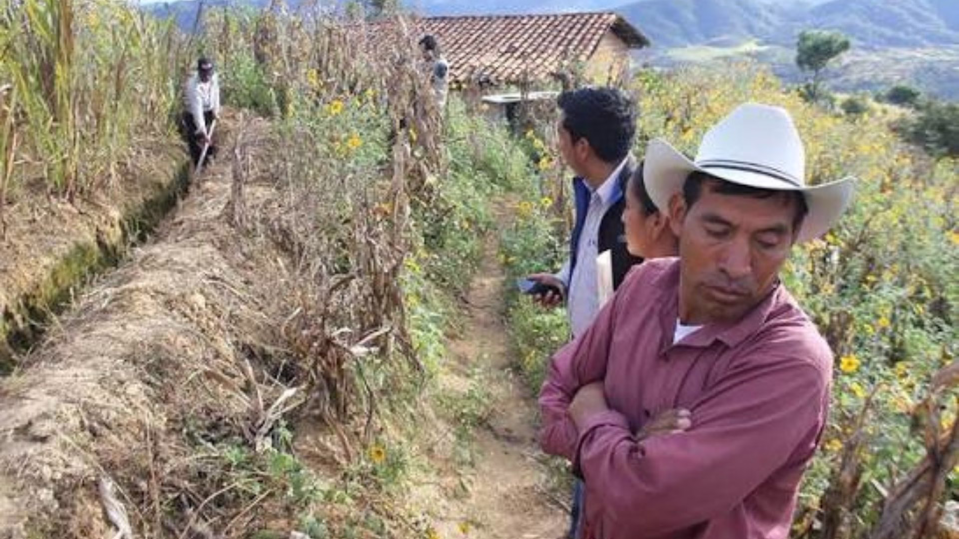 Crisis por sequía en Honduras: la falta de lluvias pone en riesgo la alimentación de millones 1 Crisis por sequía en Honduras: la falta de lluvias pone en riesgo la alimentación de millones