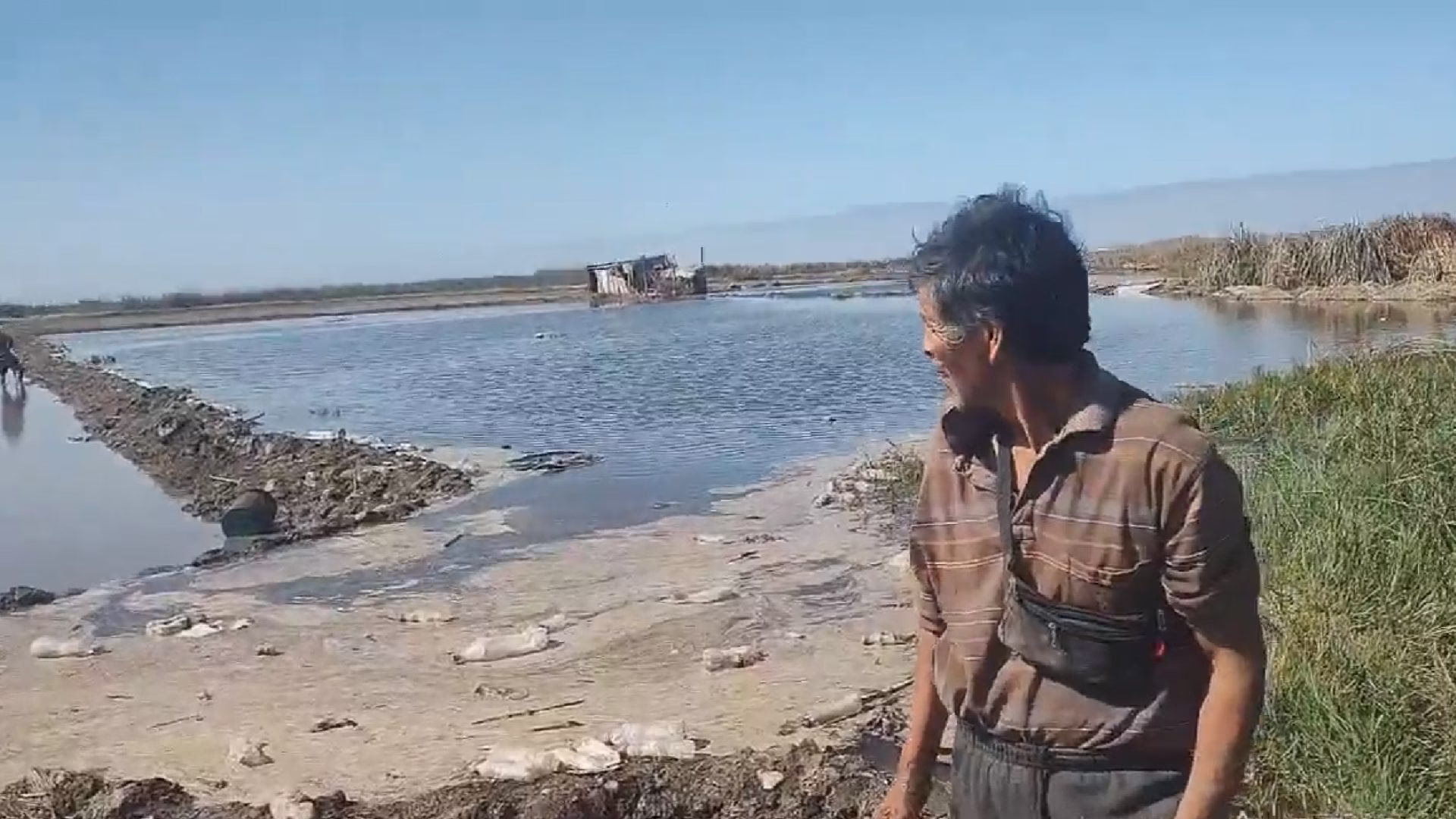 Arequipa: Oleajes anómalos afectan cultivos en Camaná y ponen en riesgo terrenos agrícolas 
