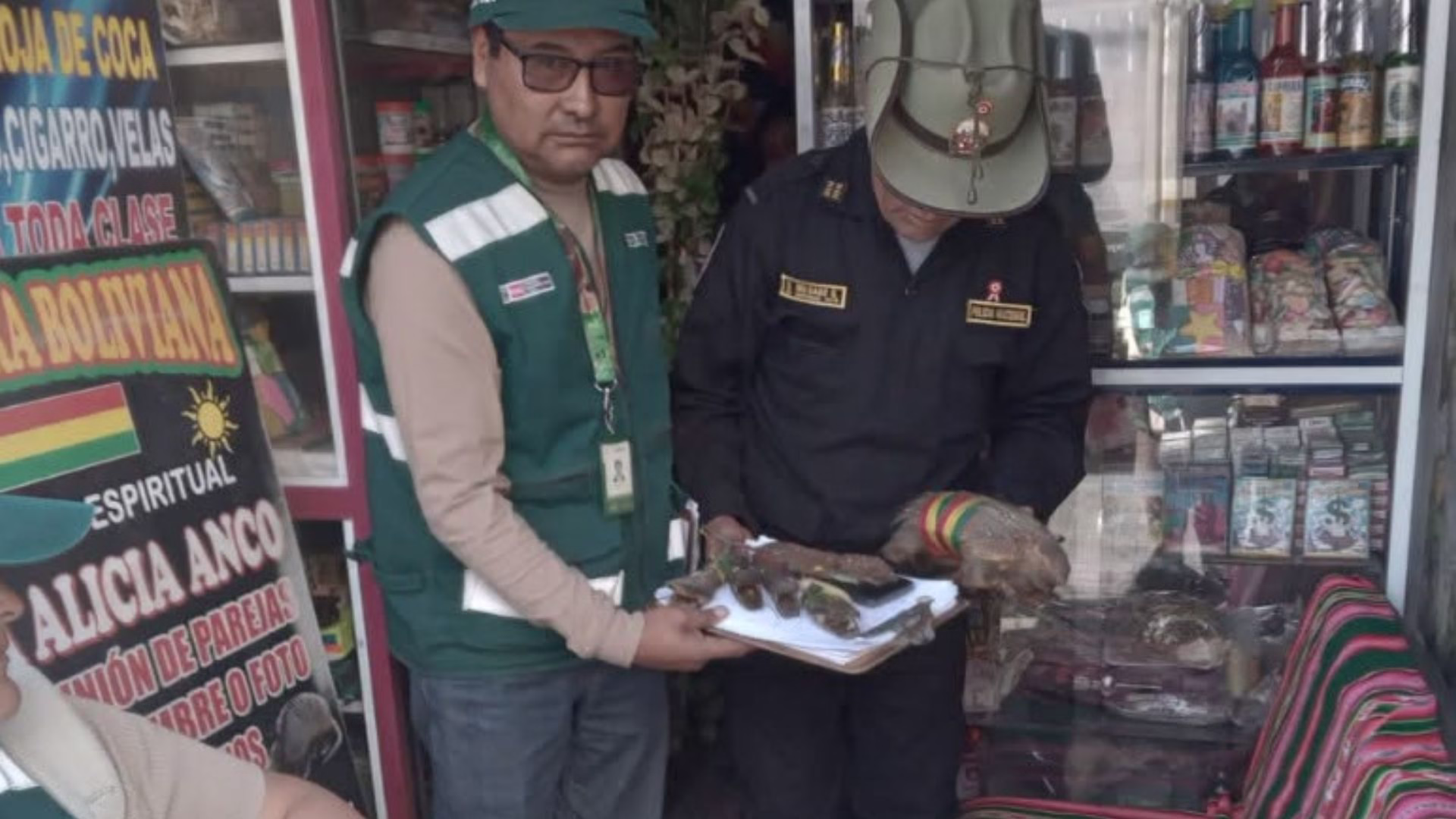 Arequipa: intervienen local en el Cercado y decomisan cabezas de anaconda, quirquincho y pieles