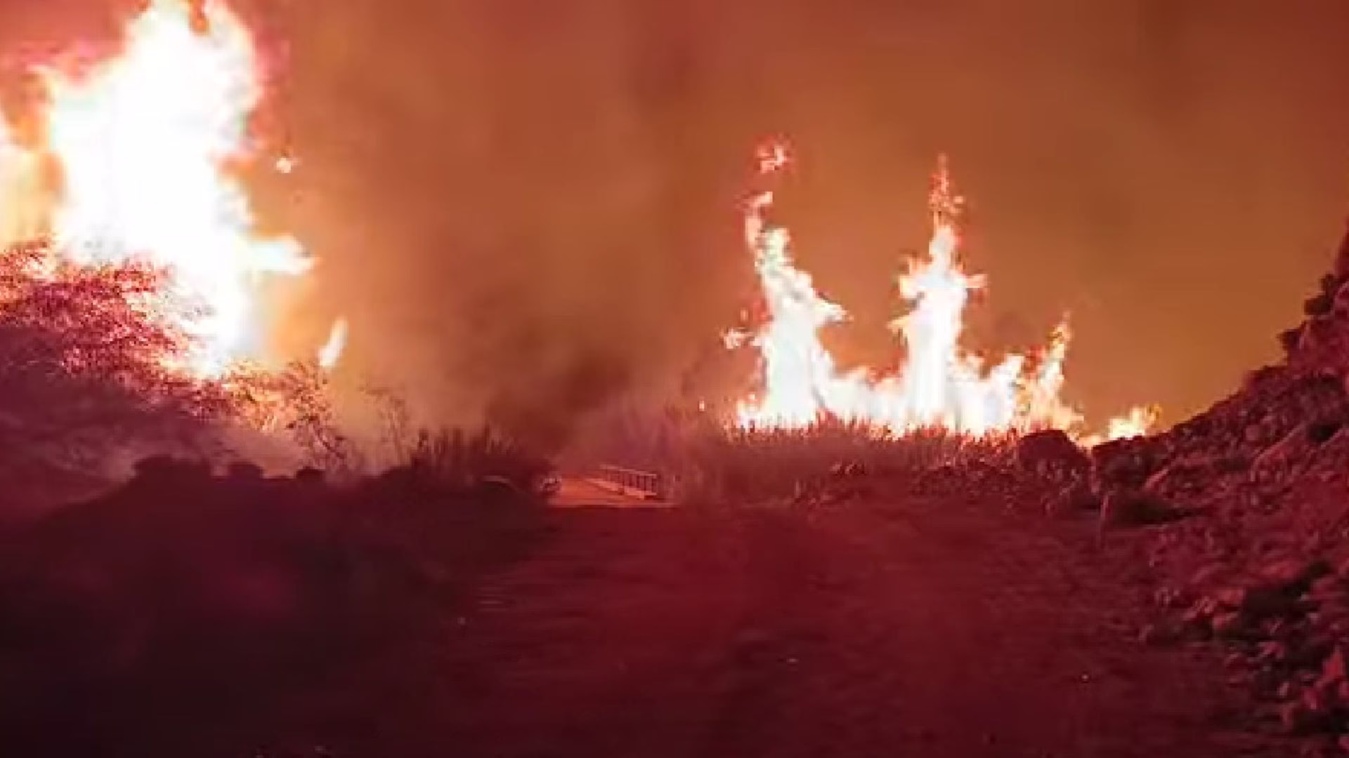 Moquegua: devastador incendio forestal arrasa con los cultivos de palta en el distrito de Omate 1 Moquegua: devastador incendio forestal arrasa con los cultivos de palta en el distrito de Omate