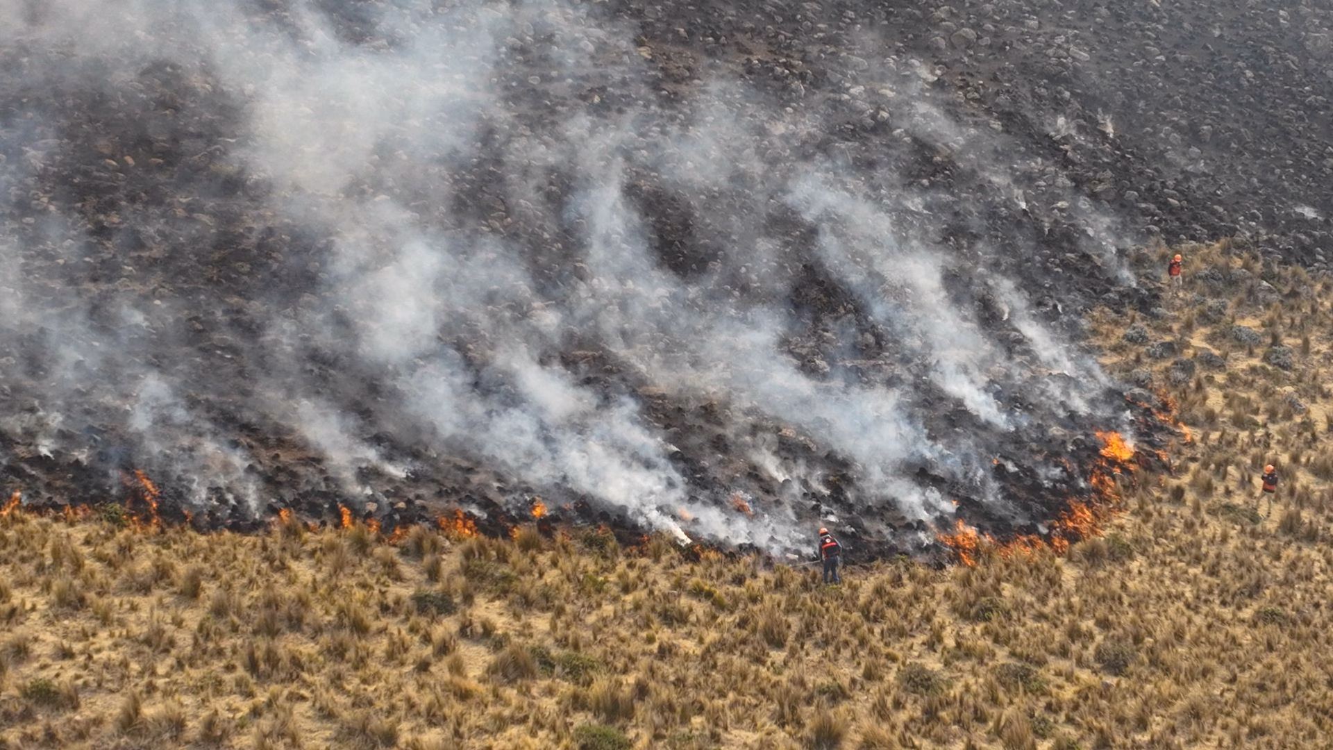 Arequipa: incendio forestal en La Unión afecta 150 hectáreas y alcanza tres viviendas, fuego sigue activo