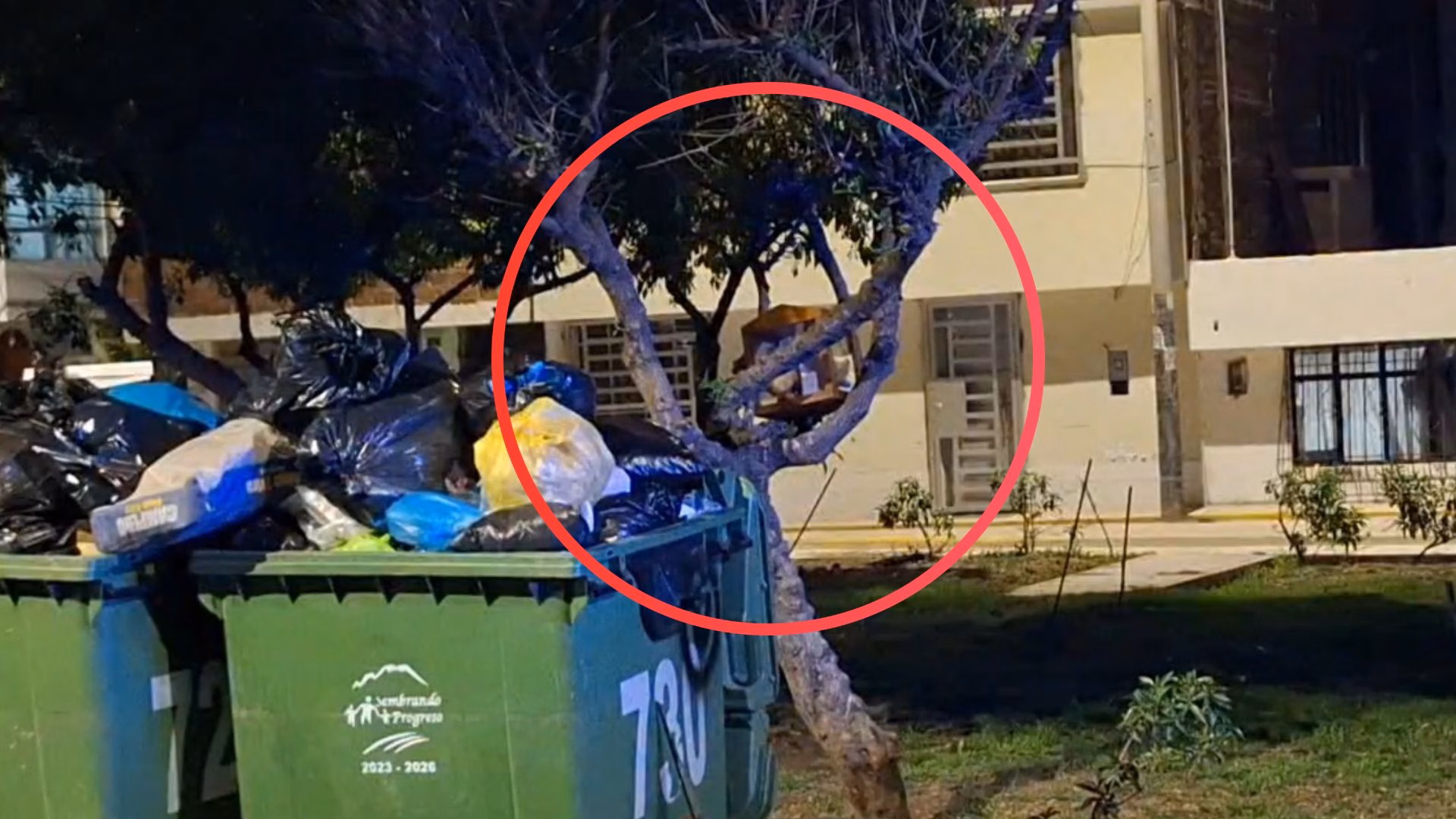 Cerro Colorado: hallan cráneo humano dentro de una urna en un árbol, habría sido usado en ritual