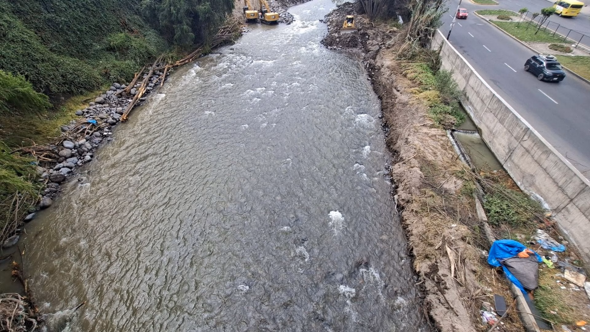 Arequipa: talan más de 10 árboles en ribera del río Chili por trabajos preventivos, pero genera críticas