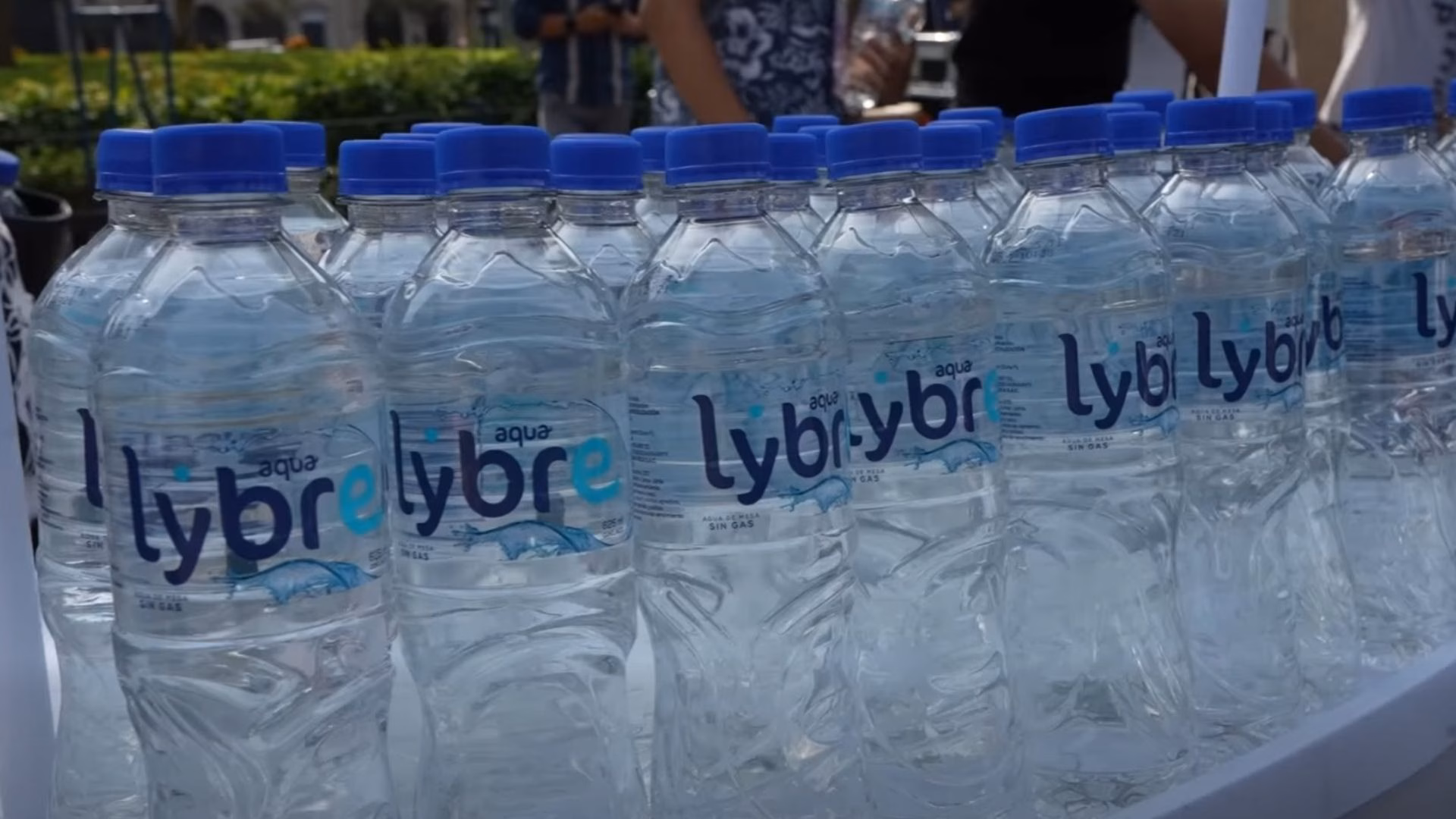 Minsa alerta por contaminación de agua de mesa de marcas Timonel y Lybre: no consumir estos productos