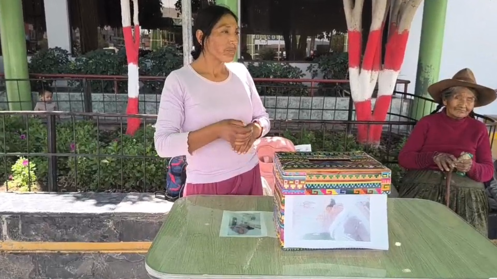 Majes: jauría mata 800 cuyes y deja a madre de familia sin su sustento, pide ayuda para volver empezar