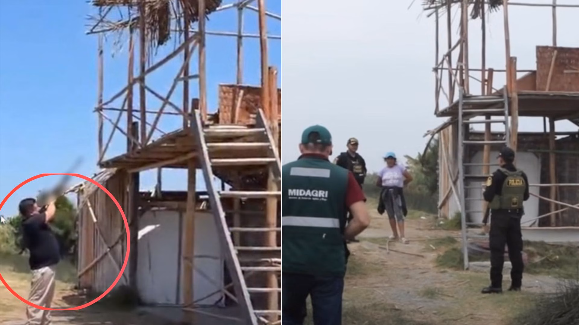 Serfor investigará muerte de gallinazo durante transmisión de streamer "Kingteka": acusado de crueldad animal
