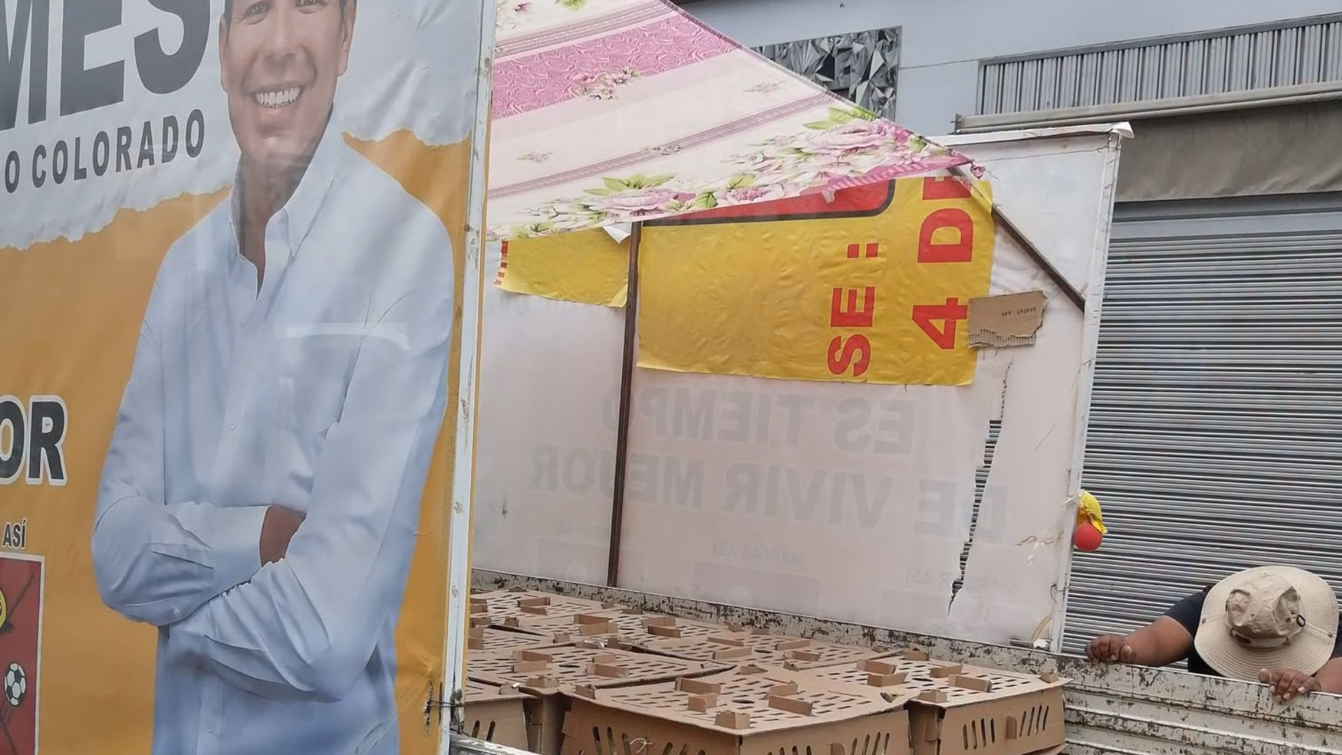 Elecciones 2026: cuestionan a candidato Hermes Oscco de Arequipa Avancemos por presunto maltrato animal