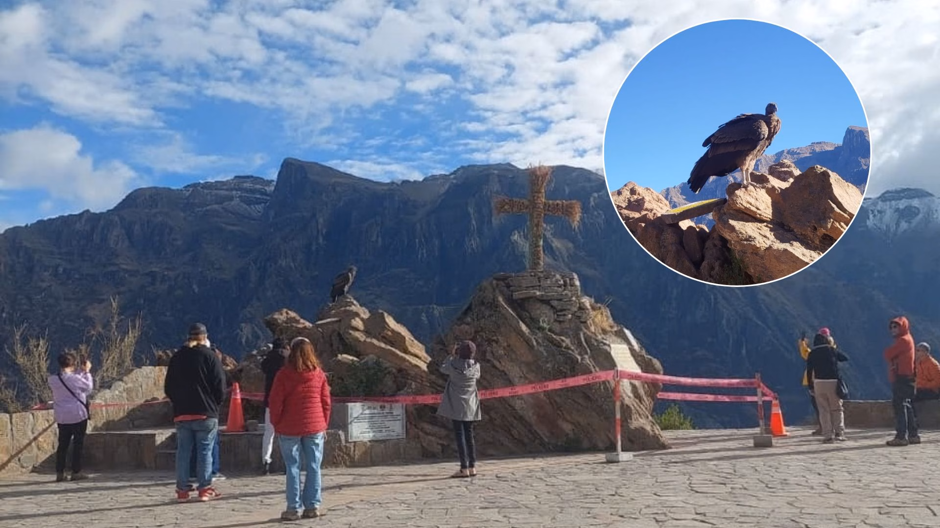 Valle del Colca: Serfor exhorta a proteger al cóndor andino ante posible desplazamiento por incendios