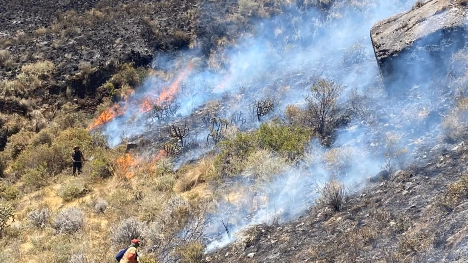 Machaguay: liquidan incendio forestal tras varios días, fuego afectó 120 hectáreas de pastizales
