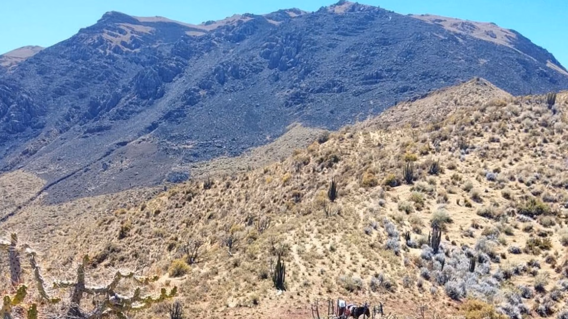 Machaguay: liquidan incendio forestal tras varios días, fuego afectó 120 hectáreas de pastizales