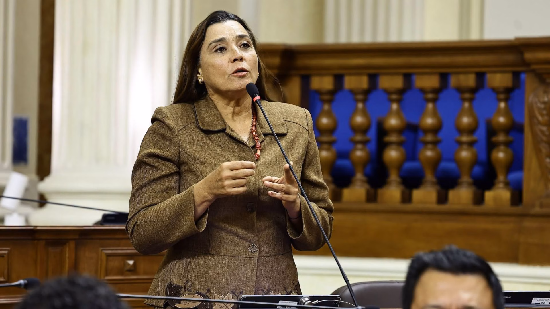Senadora Karla Schaefer recibió S/20 mil de empresario minero con petitorios vigentes en Arequipa