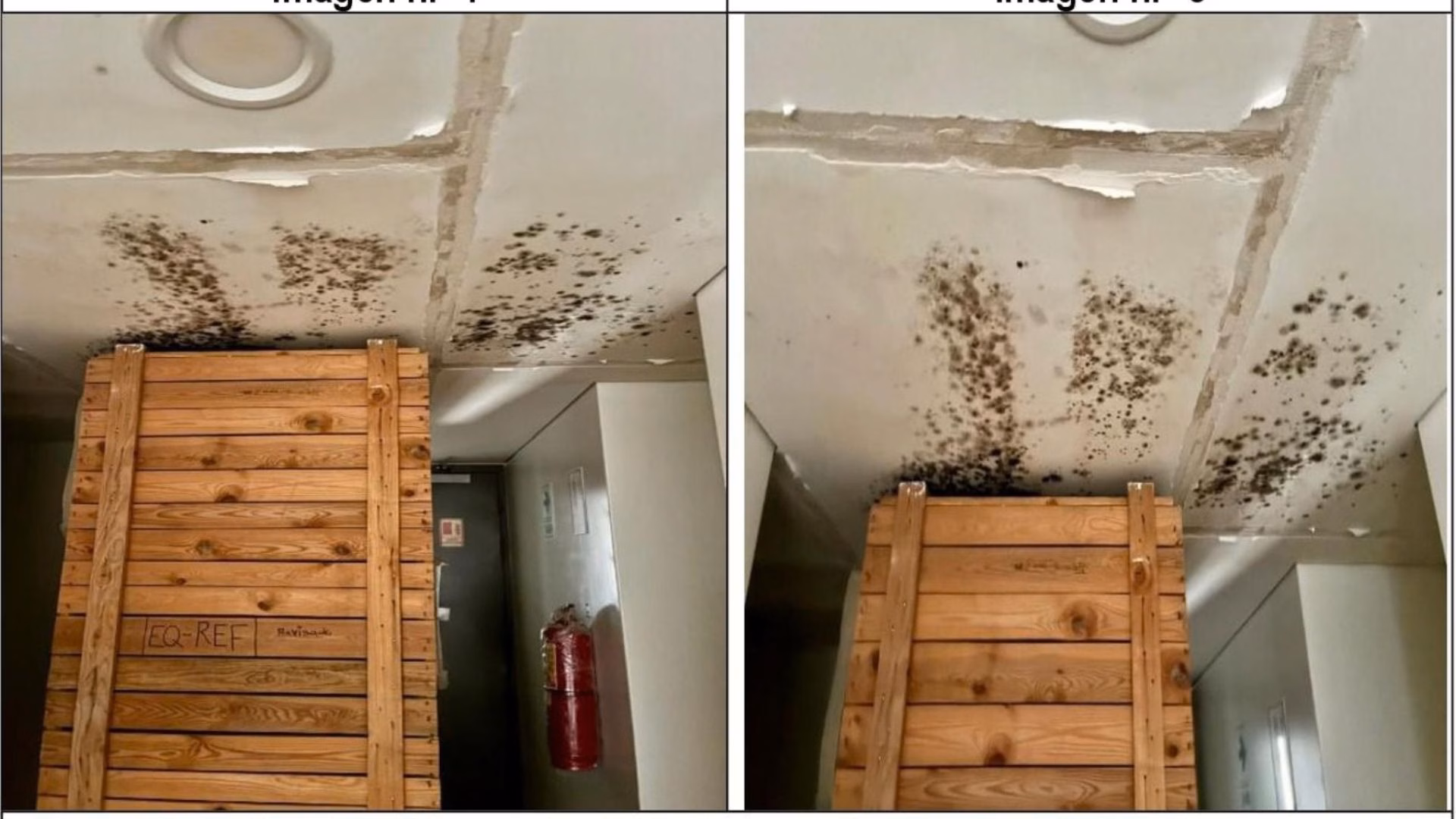 PNP: Contraloría alerta deterioro del edificio de Criminalística paralizado desde 2024 en Arequipa 1 PNP: Contraloría alerta deterioro del edificio de Criminalística paralizado desde 2024 en Arequipa