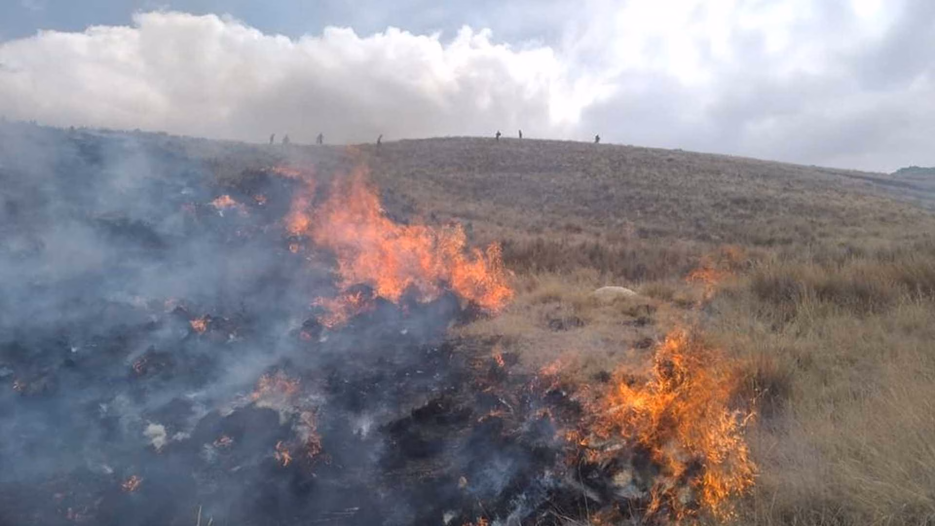 Alerta en Puno: 3 provincias registran nivel extremo de peligro por incendios forestales.