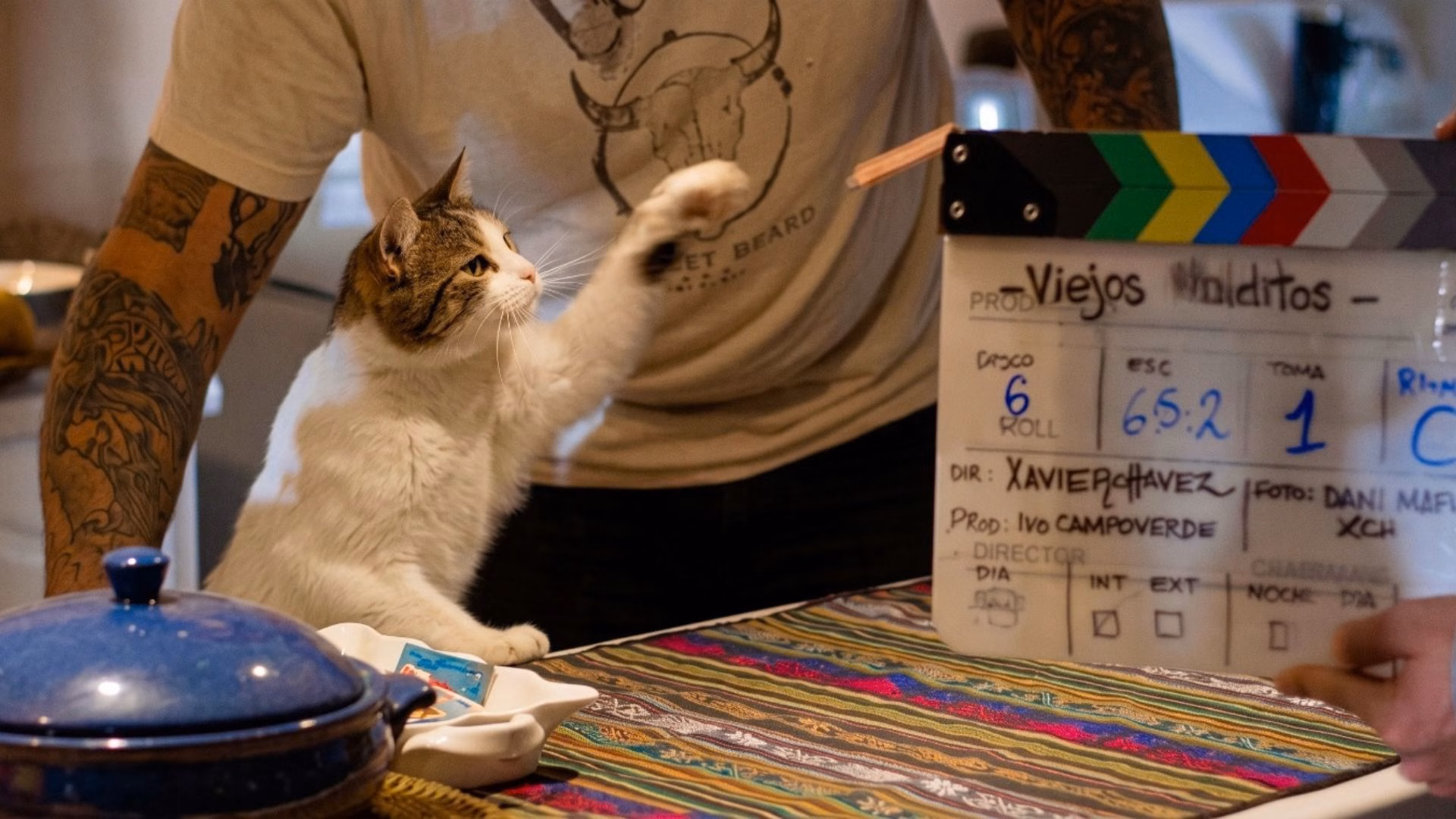 Cine: Simón, el gato testarudo llega al Perú con una historia sobre la soledad y la compañía