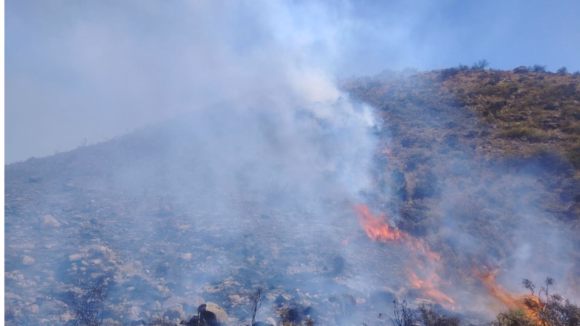 Pocsi: incendio forestal afecta pastizales en Pampa Ichuca en Tuctumpaya, policía llegó a la zona