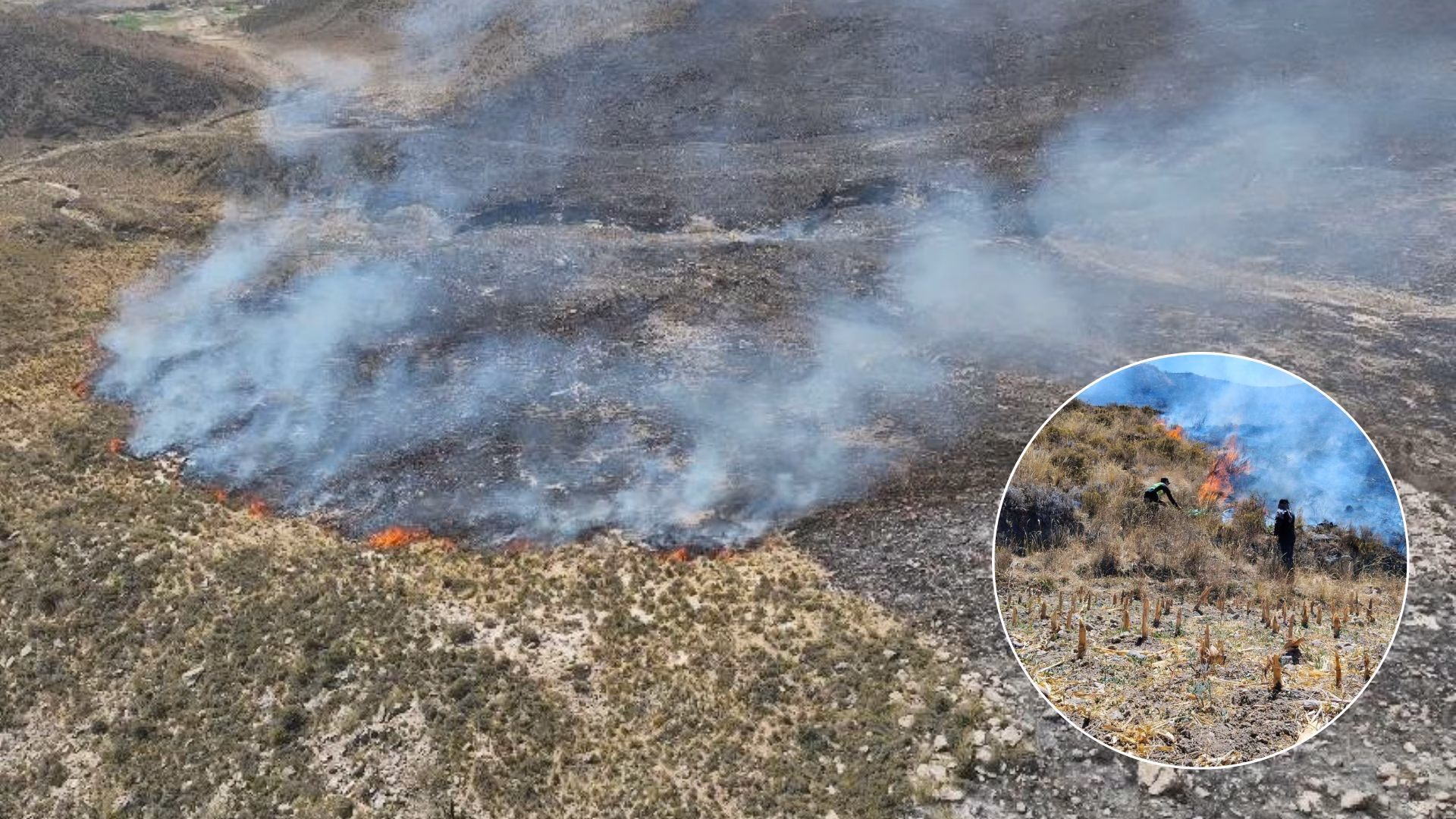 Arequipa: incendios forestales afectan más de 300 hectáreas en cuatro provincias, hay dos activos