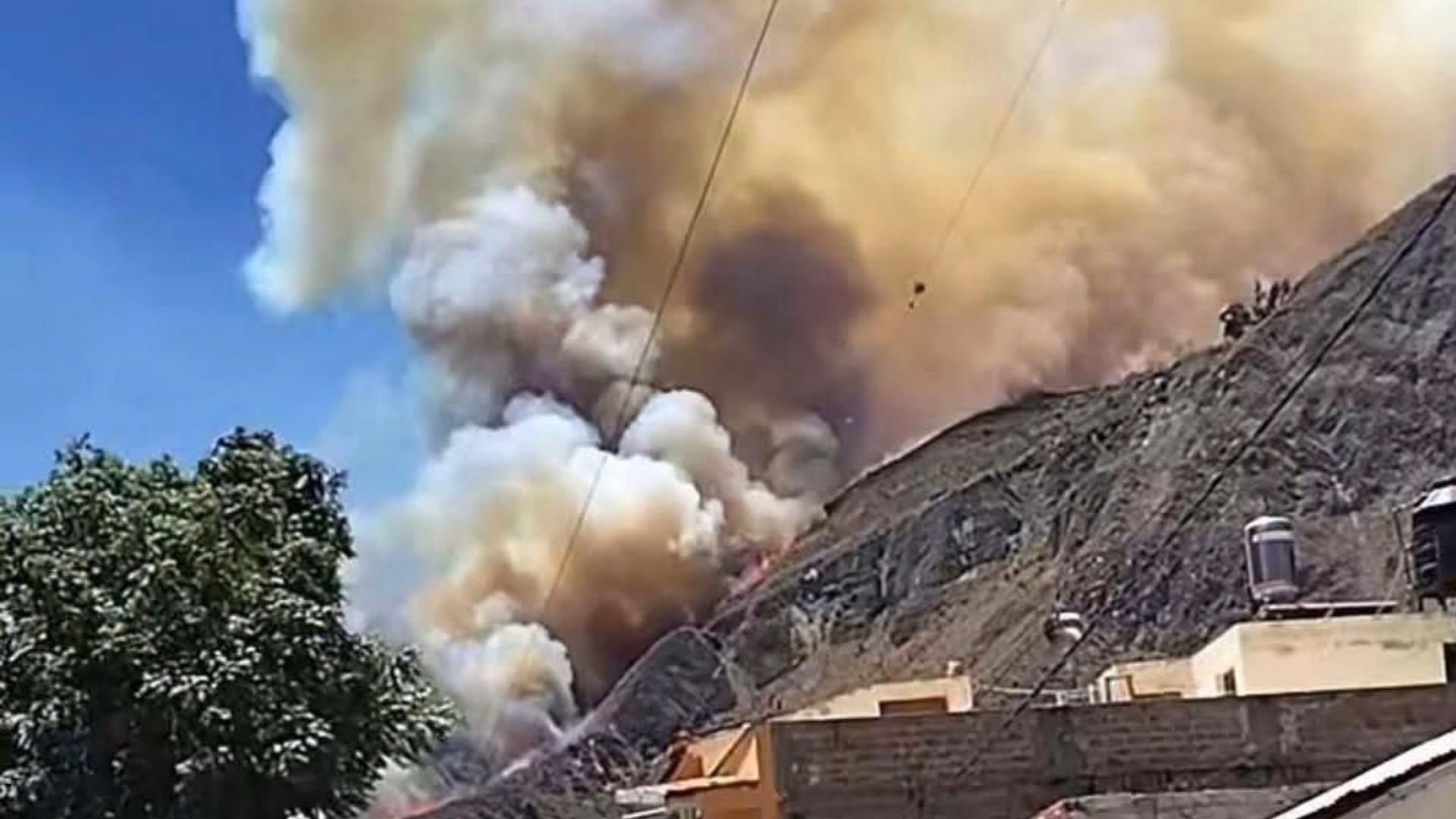 Arequipa: incendios forestales afectan más de 300 hectáreas en tres provincias, hay dos activos 1 Arequipa: incendios forestales afectan más de 300 hectáreas en cuatro provincias, hay dos activos