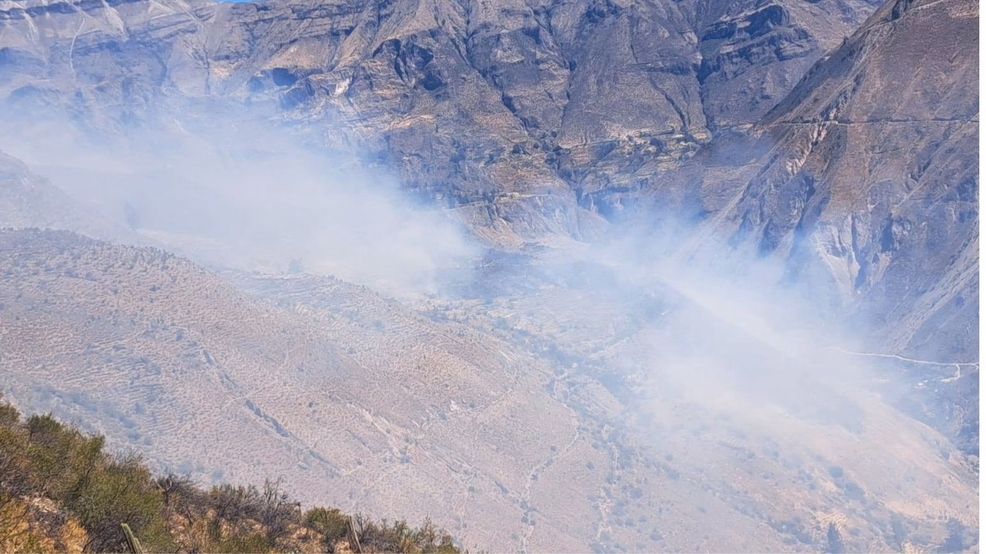 Arequipa: incendios forestales afectan más de 300 hectáreas en tres provincias, hay dos activos 2 Arequipa: incendios forestales afectan más de 300 hectáreas en cuatro provincias, hay dos activos