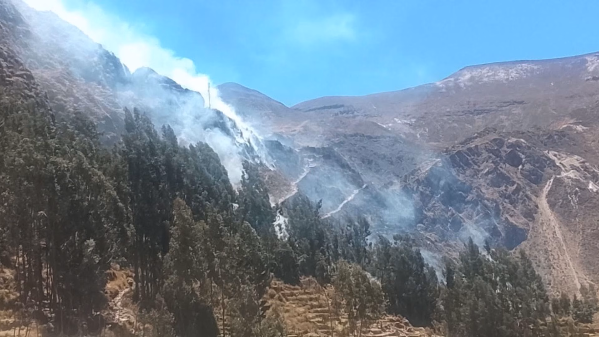 Arequipa registró 54 incendios forestales en este año: alertan dificultades para controlar el fuego