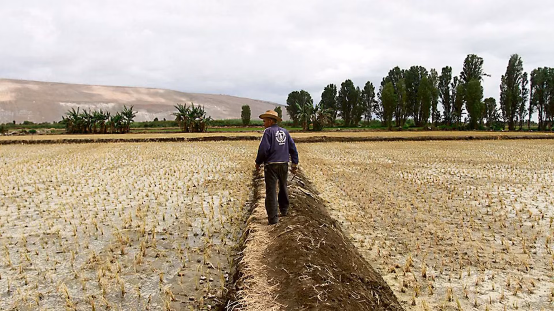 Arequipa: declaran en emergencia 46 distritos por riesgo de déficit hídrico para el periodo 2026-2027