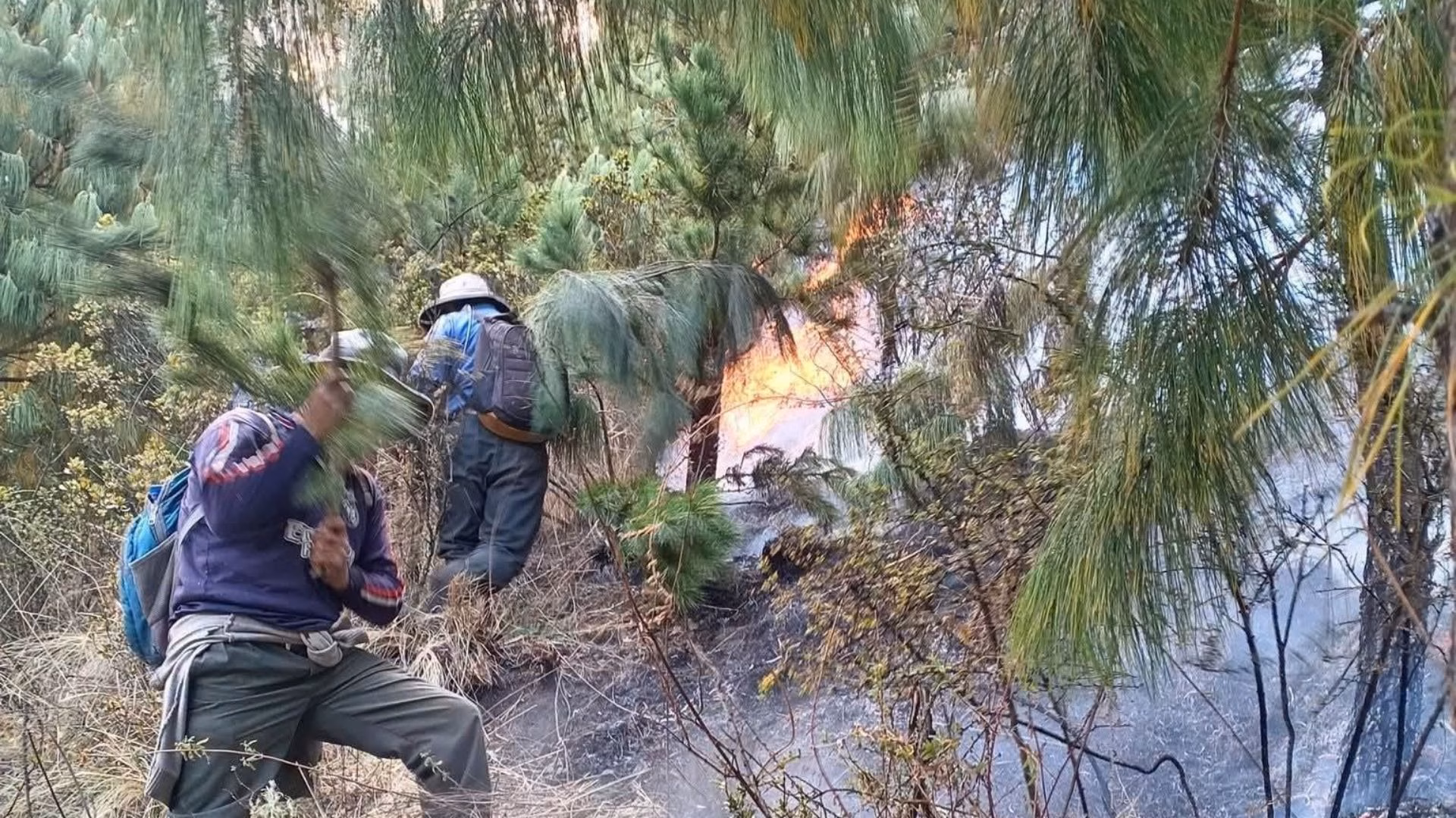 Cusco: incendio forestal en el cerro Pitusiray en Calca continúa por tercer día y moviliza a bomberos y militares 1 Cusco: incendio forestal en el cerro Pitusiray en Calca continúa por tercer día y moviliza a bomberos y militares