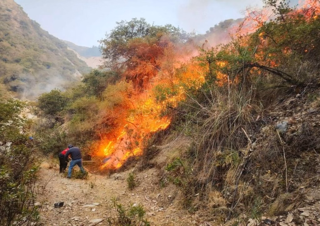 Cusco: incendios forestales dejan 6 fallecidos y dos heridos, última víctima fue en Chumbivilcas 2026