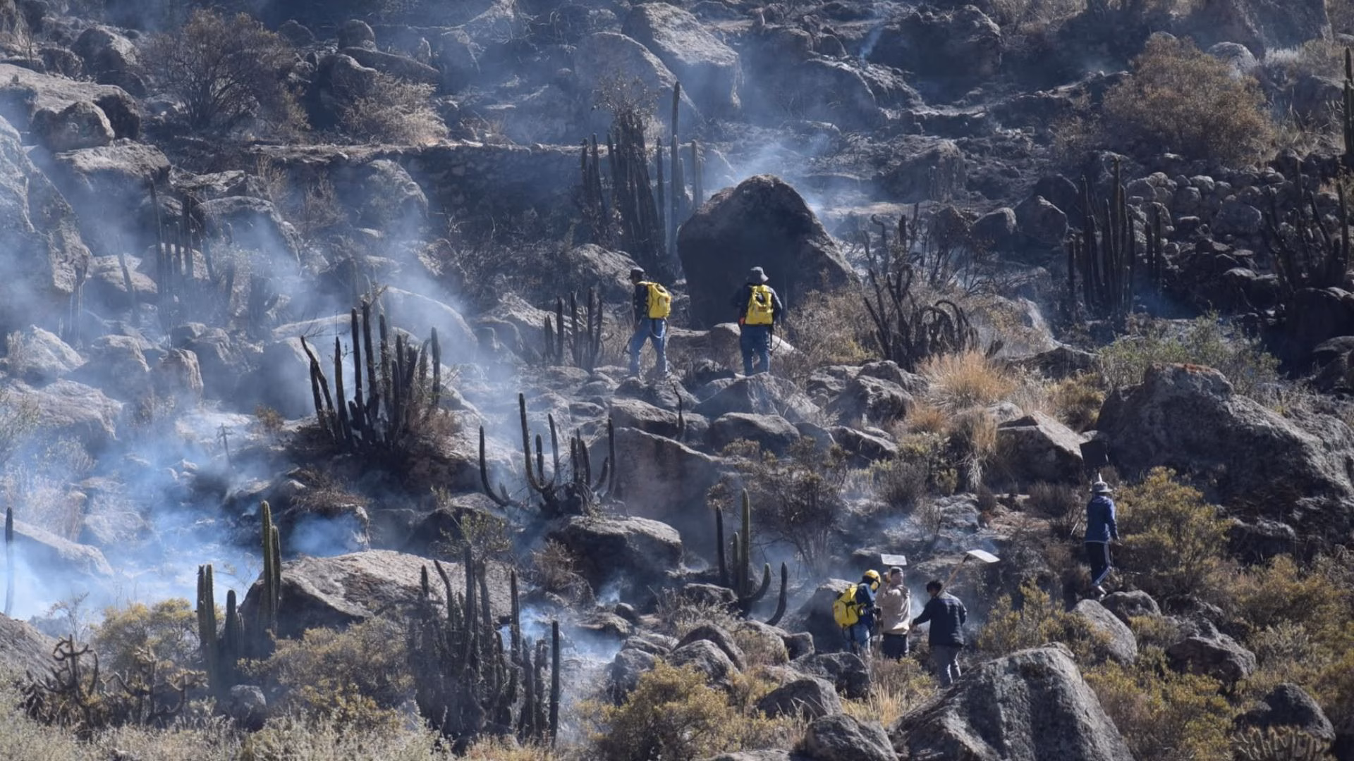 Arequipa: Incendio forestal en Chuquibamba destruye 70 hectáreas de pastos naturales, fue liquidado